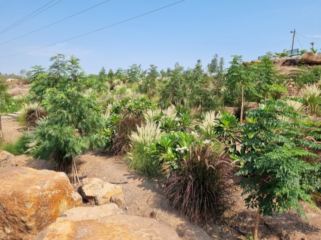 20230522_093046 (Small)
